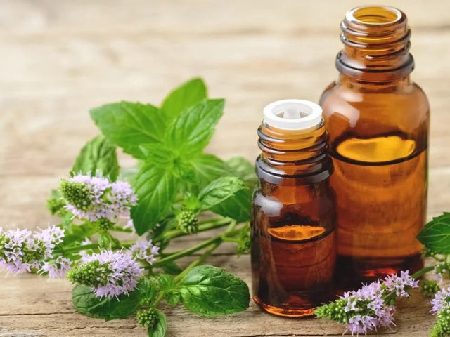 The Power of Peppermint Oil: 3 Benefits You Didn’t Know